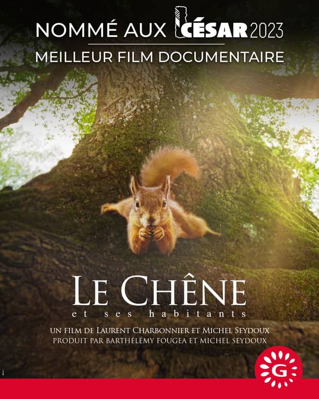 Affiche « Le Chêne », nommé aux César 2023 — Meilleur film documentaire